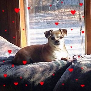 Meet your Posher, Karen